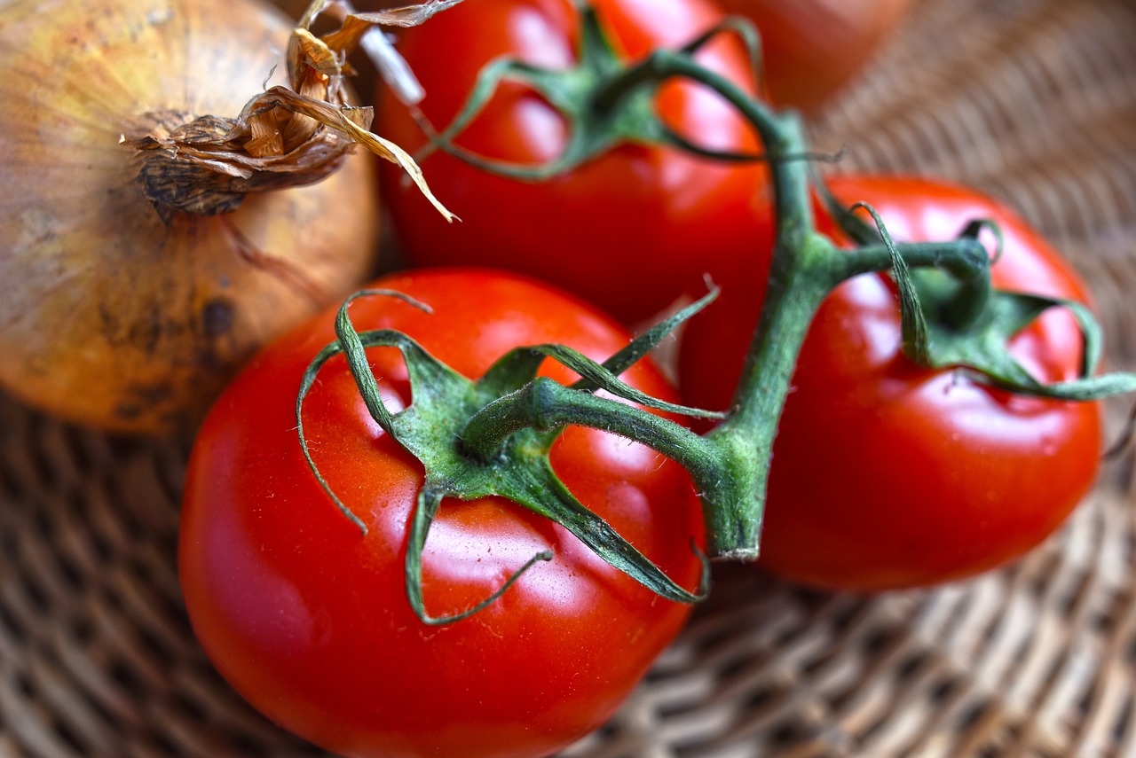 Top 5 Tips for Growing Healthy Tomatoes
